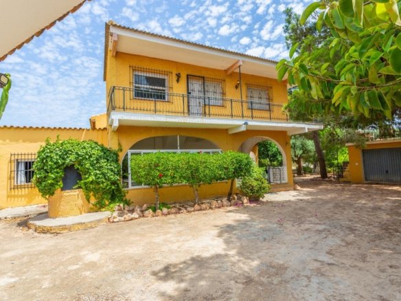 Finca Los Montesinos 13