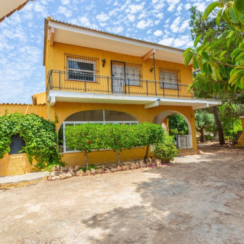 Finca Los Montesinos 13