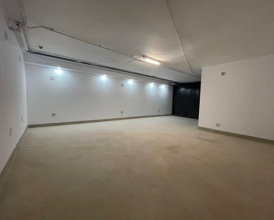full_1484900_65298720