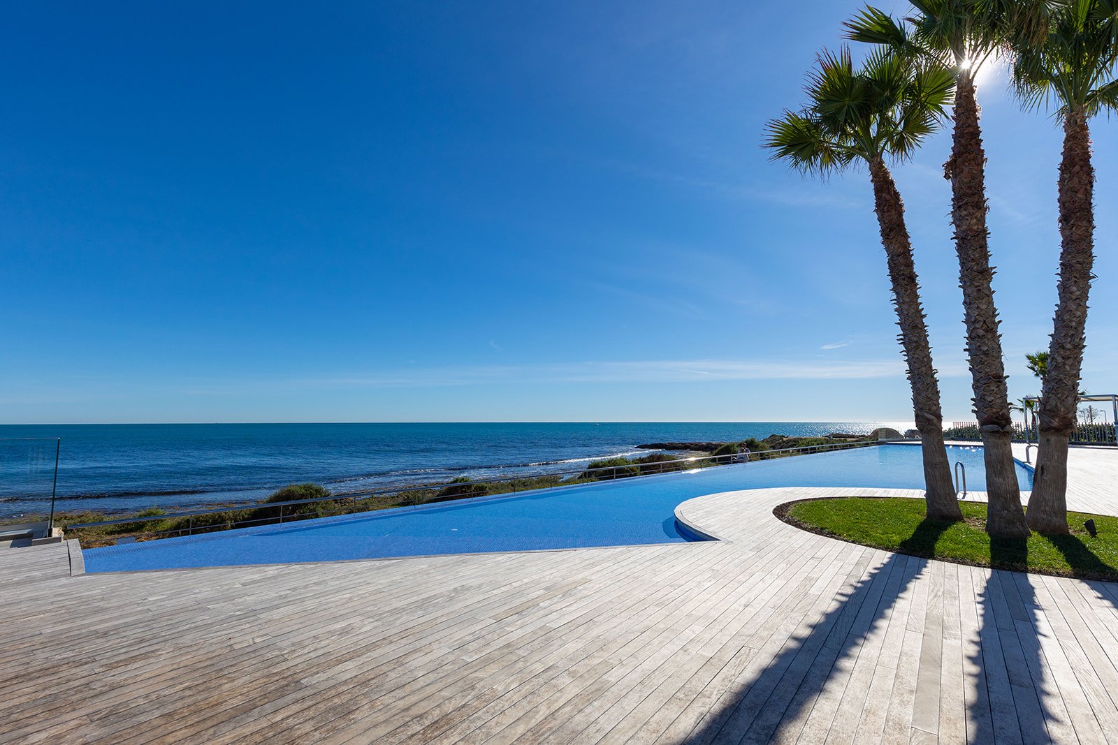 Posidonia y panorama mar