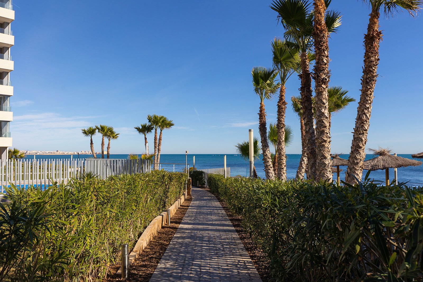 Posidonia y panorama mar