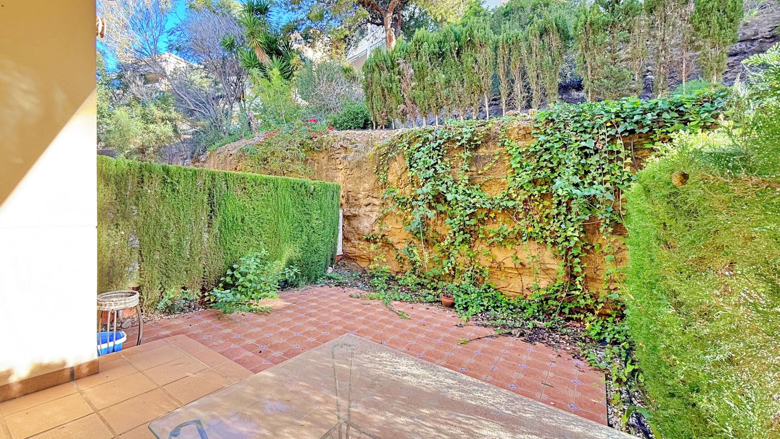 696147241a563_IMG_9012