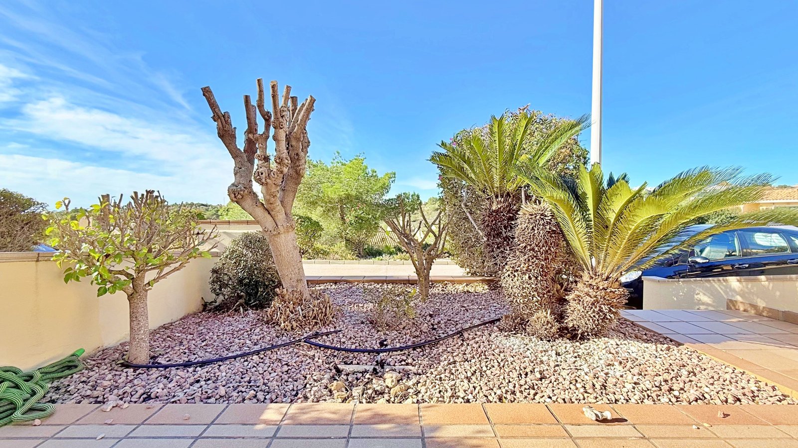 696147263b9d8_IMG_9069