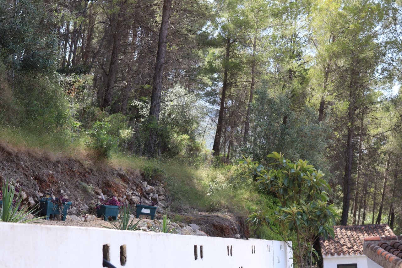 11797-villa-for-sale-in-parcent-248496-large