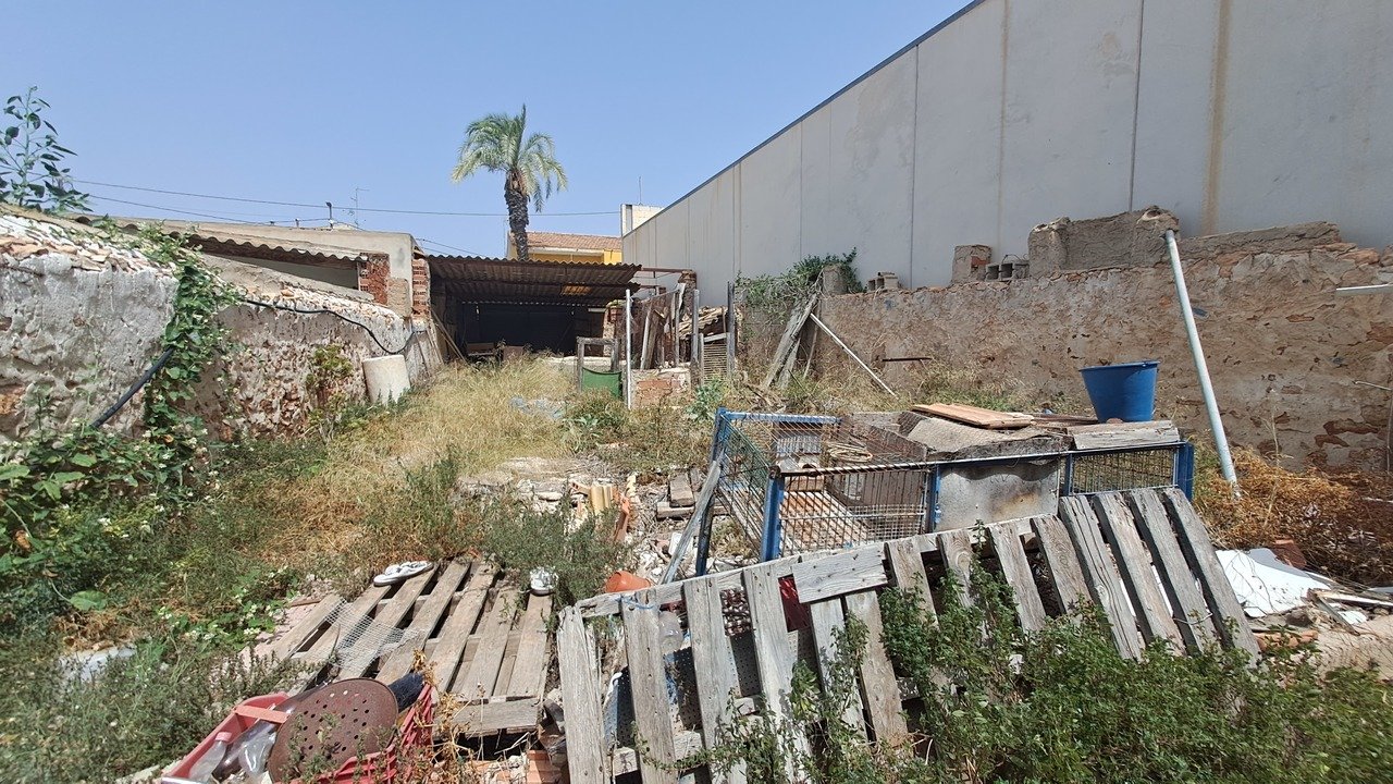 20230712_122648_xlarge