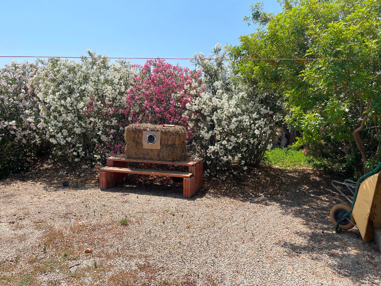 532140_69412805de953