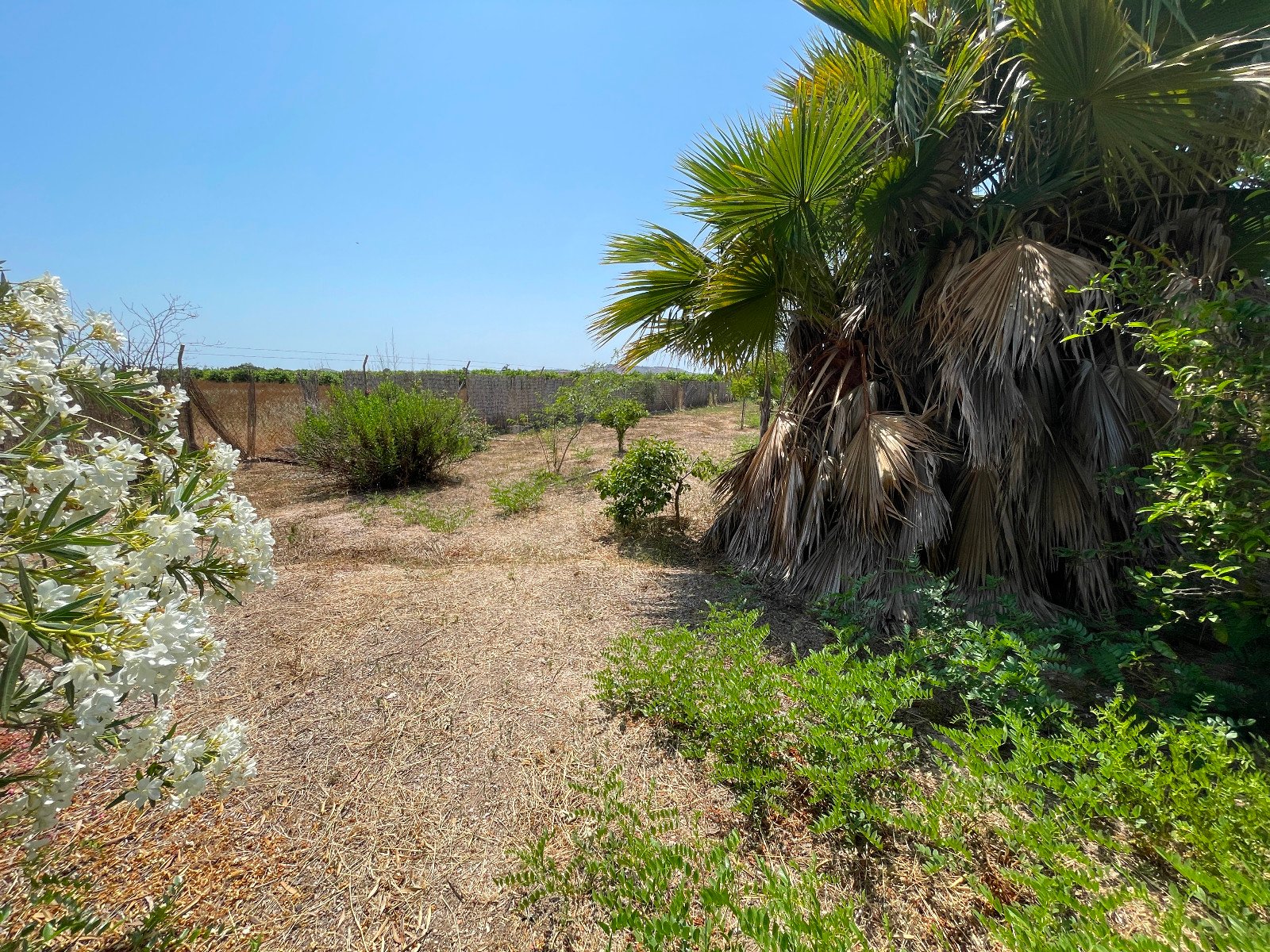 532142_69412805cd7ab