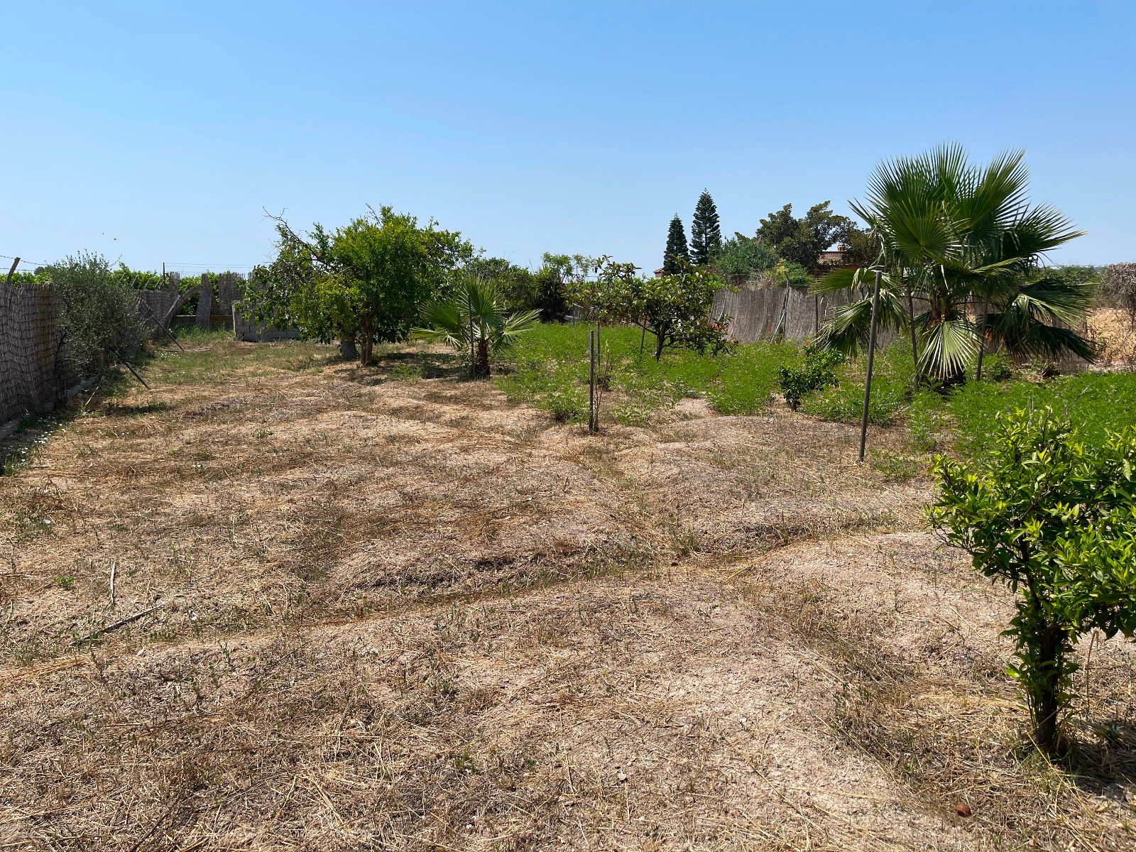 532143_69412805c4bd7