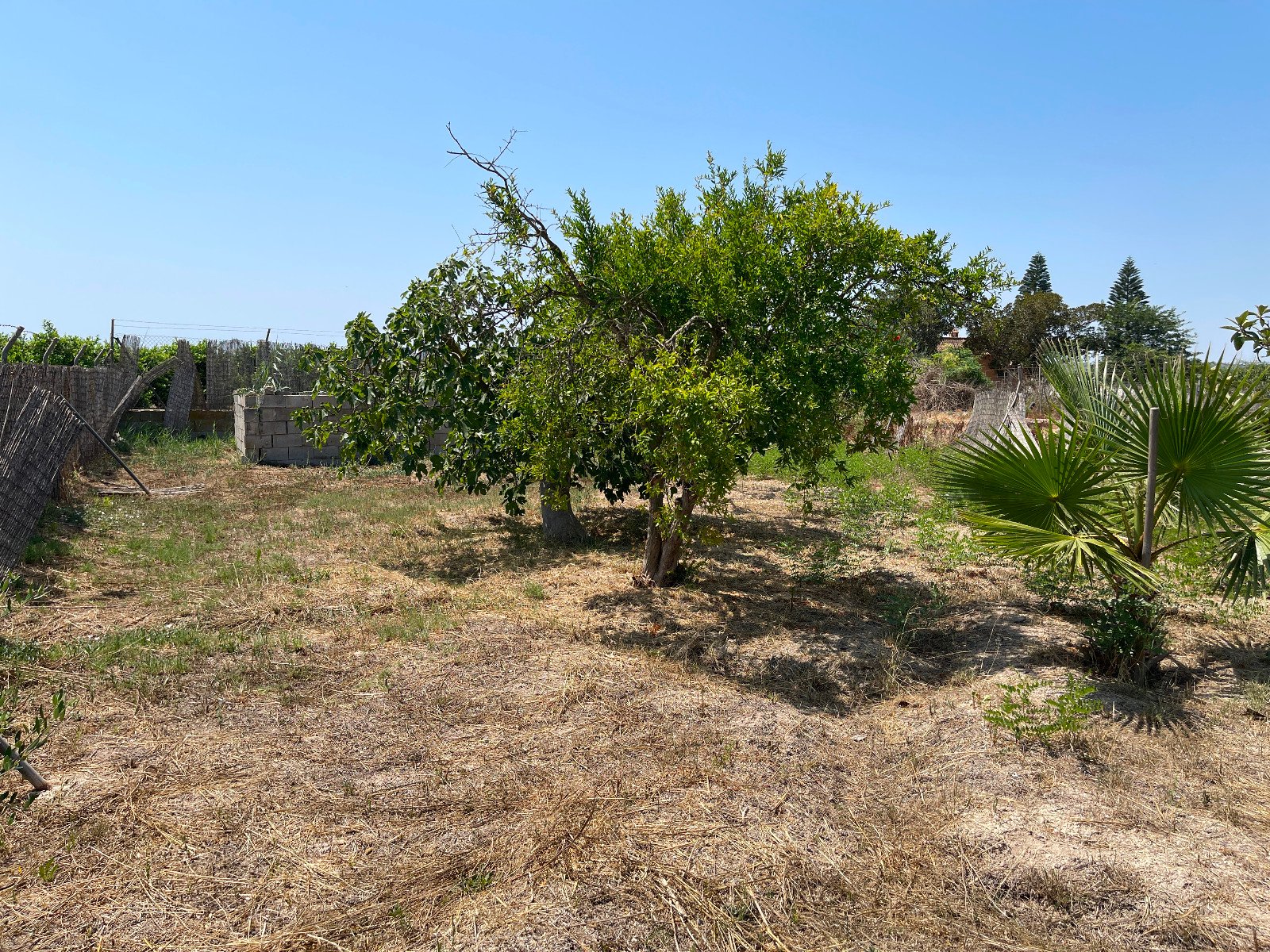 532144_69412805bb67c