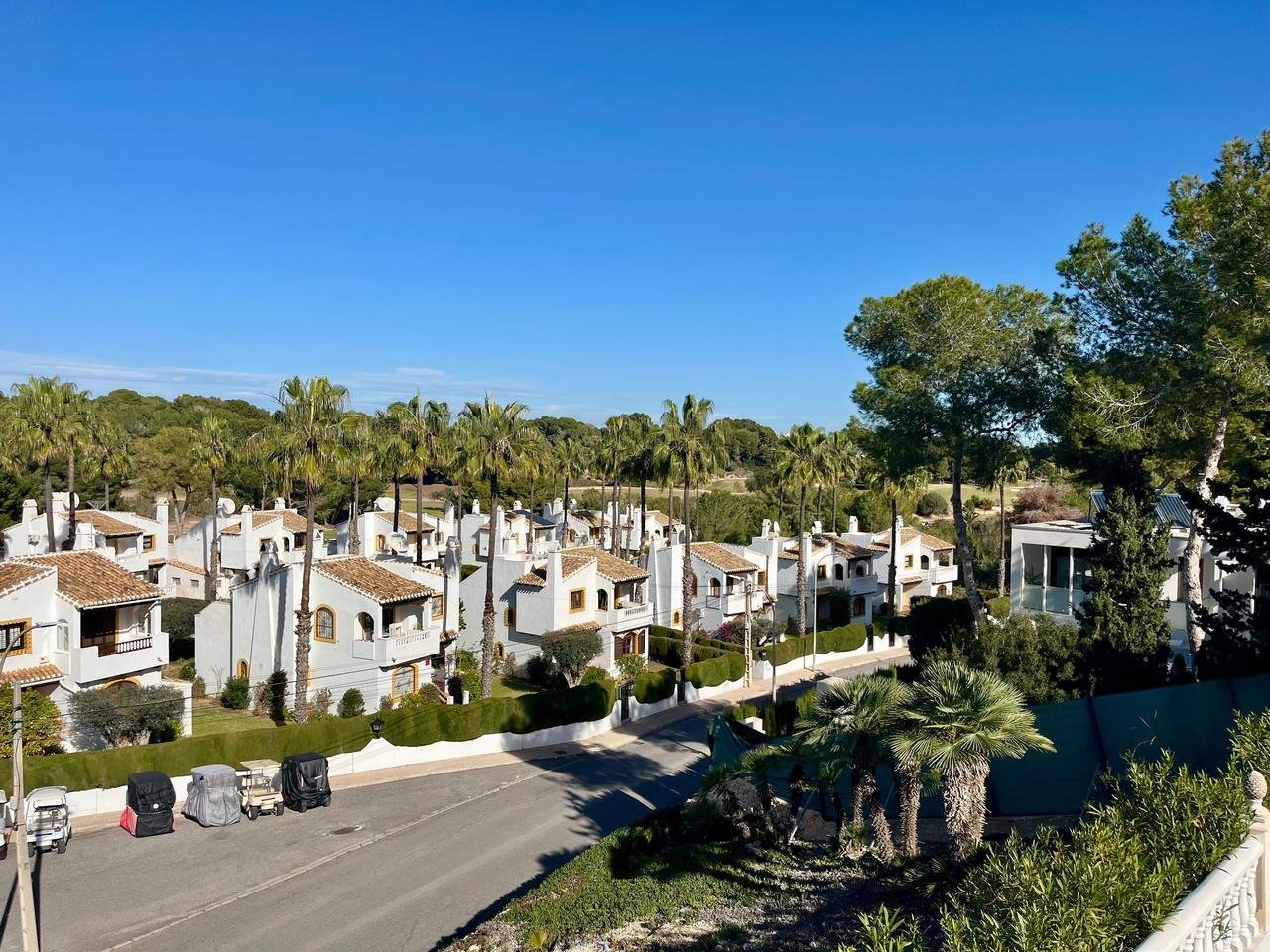 IMG-20250124-WA0085_xlarge