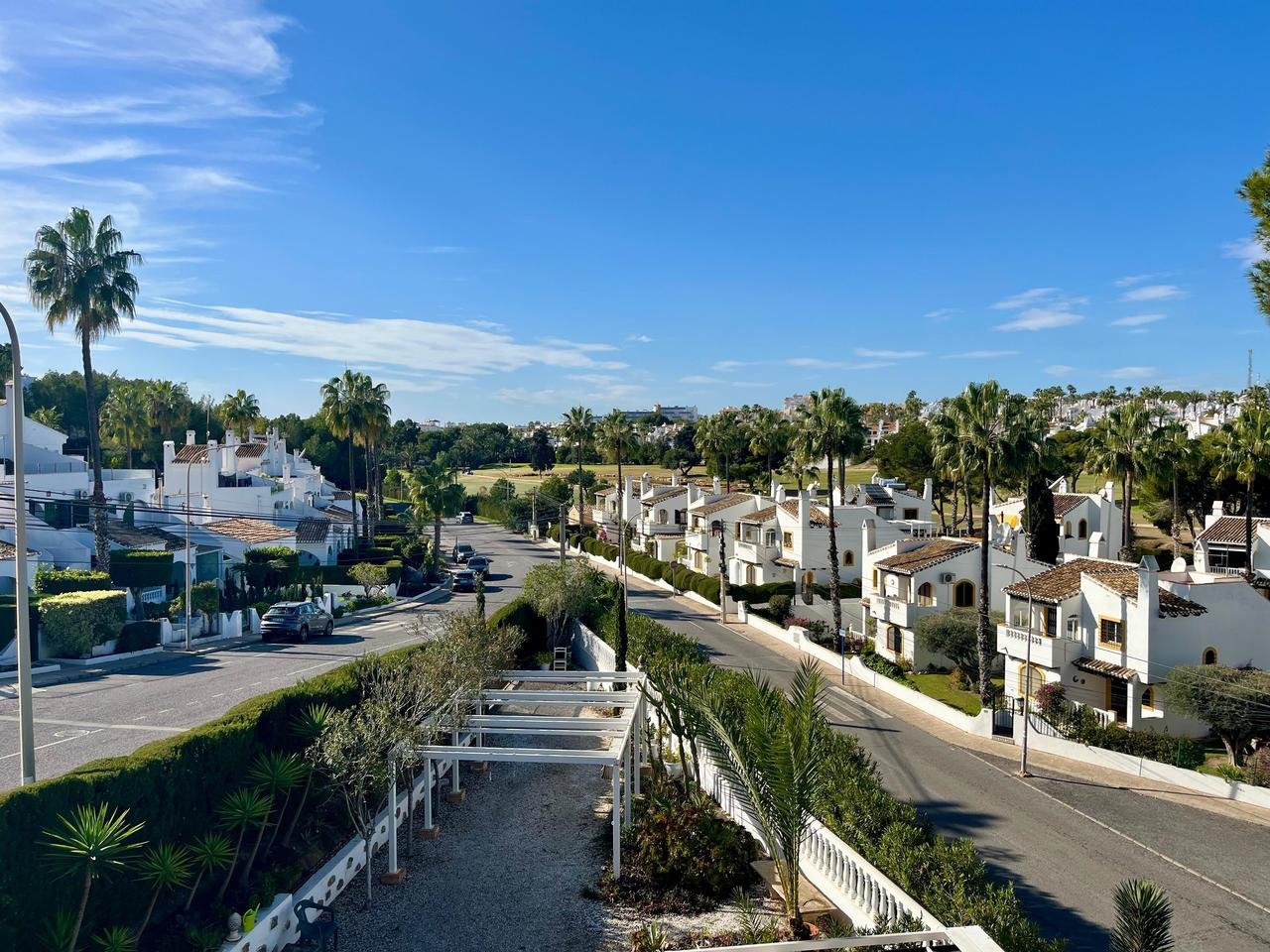 Imagen_de_WhatsApp_2025-01-24_a_las_14.07.45_52a357e4_xlarge