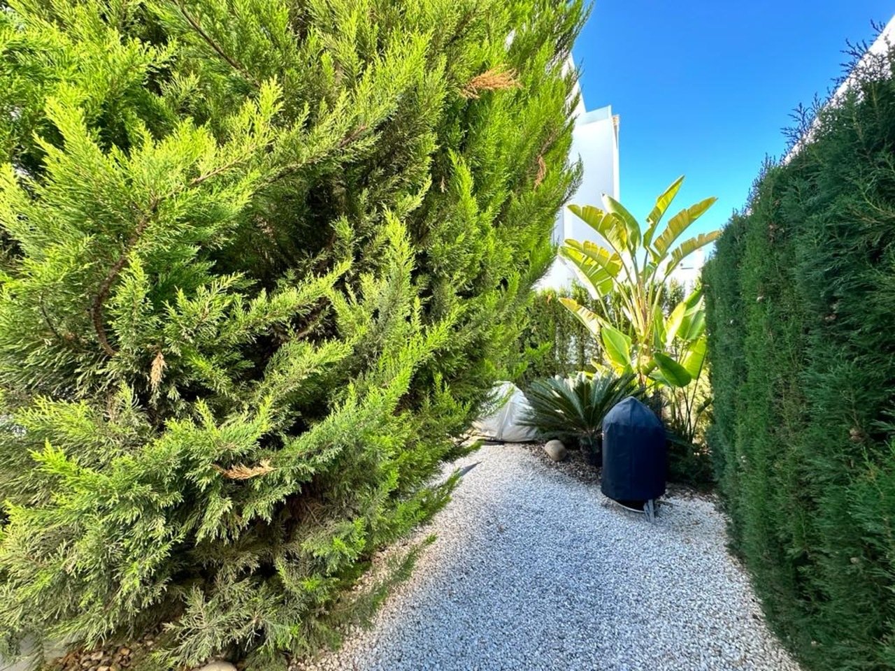 ce9b5b6f-b121-456a-ae3a-da31bb3390d8_xlarge