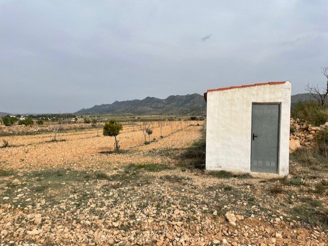 d637e54e8ec8ab637e54e8ec909