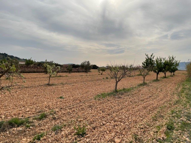 d637e54e9005c4637e54e90061f