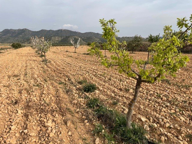 d637e54e9028c8637e54e902924