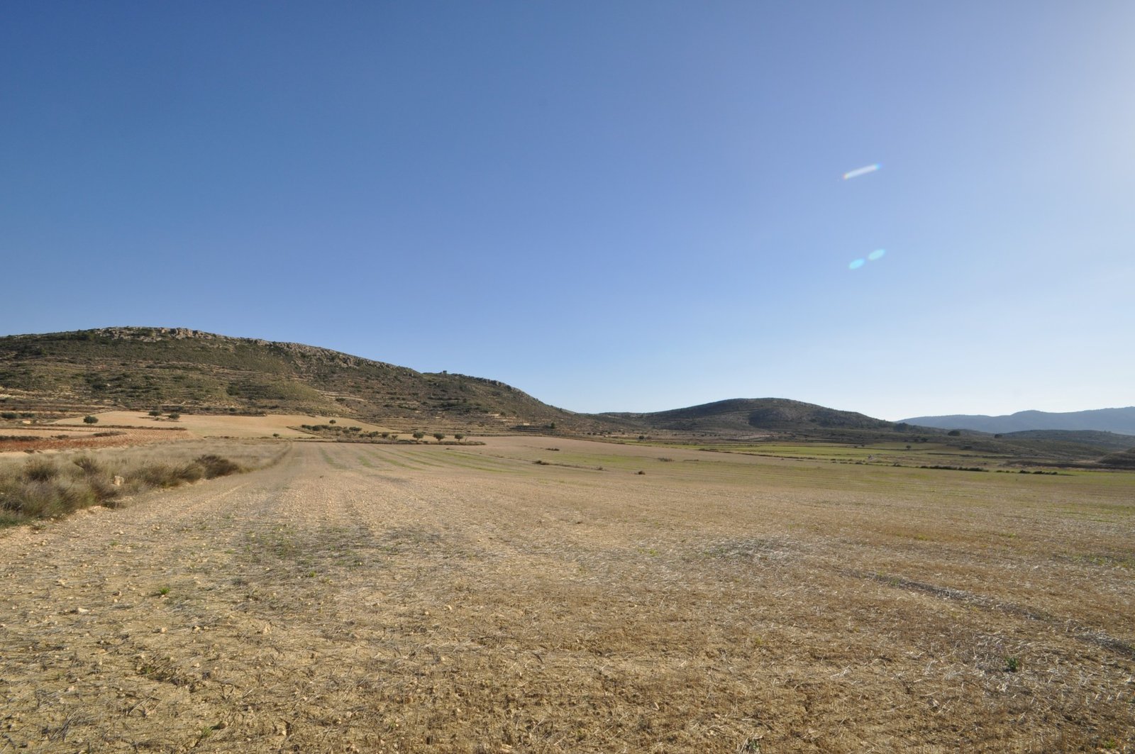 d64650e0f2321d64650e0f23256