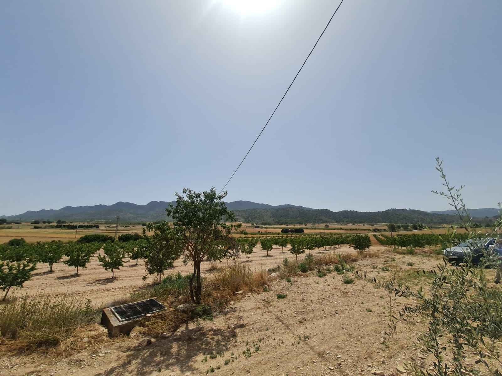 d64ca735dbd1cd64ca735dbd207