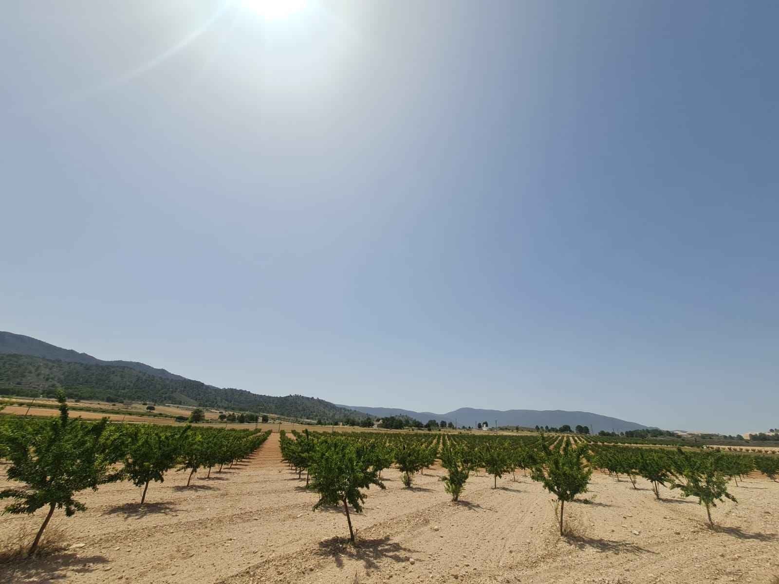 d64ca735dbdda064ca735dbddd9