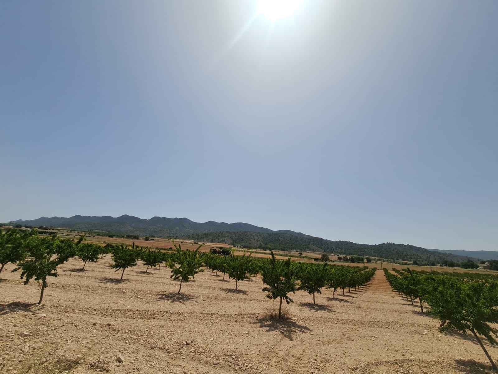 d64ca735dbe0db64ca735dbe119