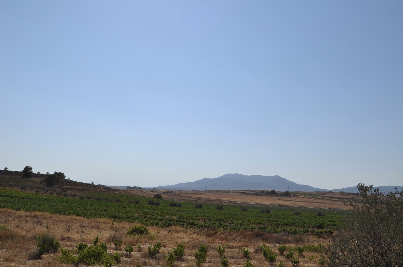 d6667155ea53666667155ea53ad