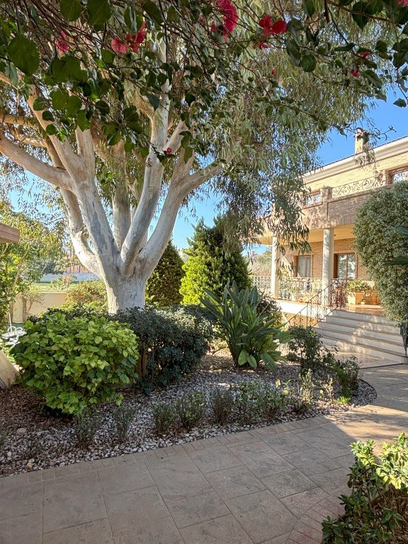 full_1464916_64811993