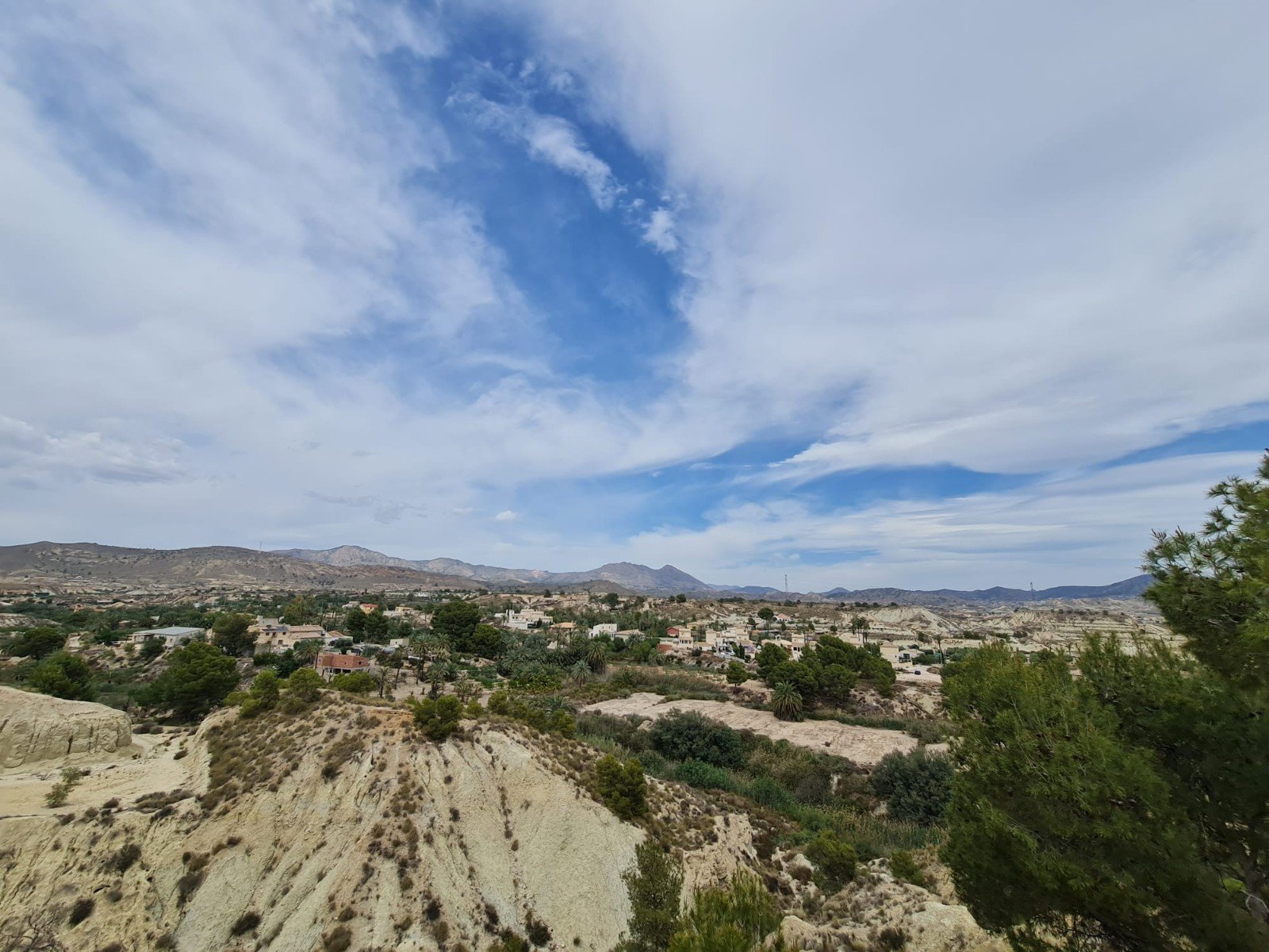 o_1h02ppgb9hkk11u0a0c1shs1n8c21