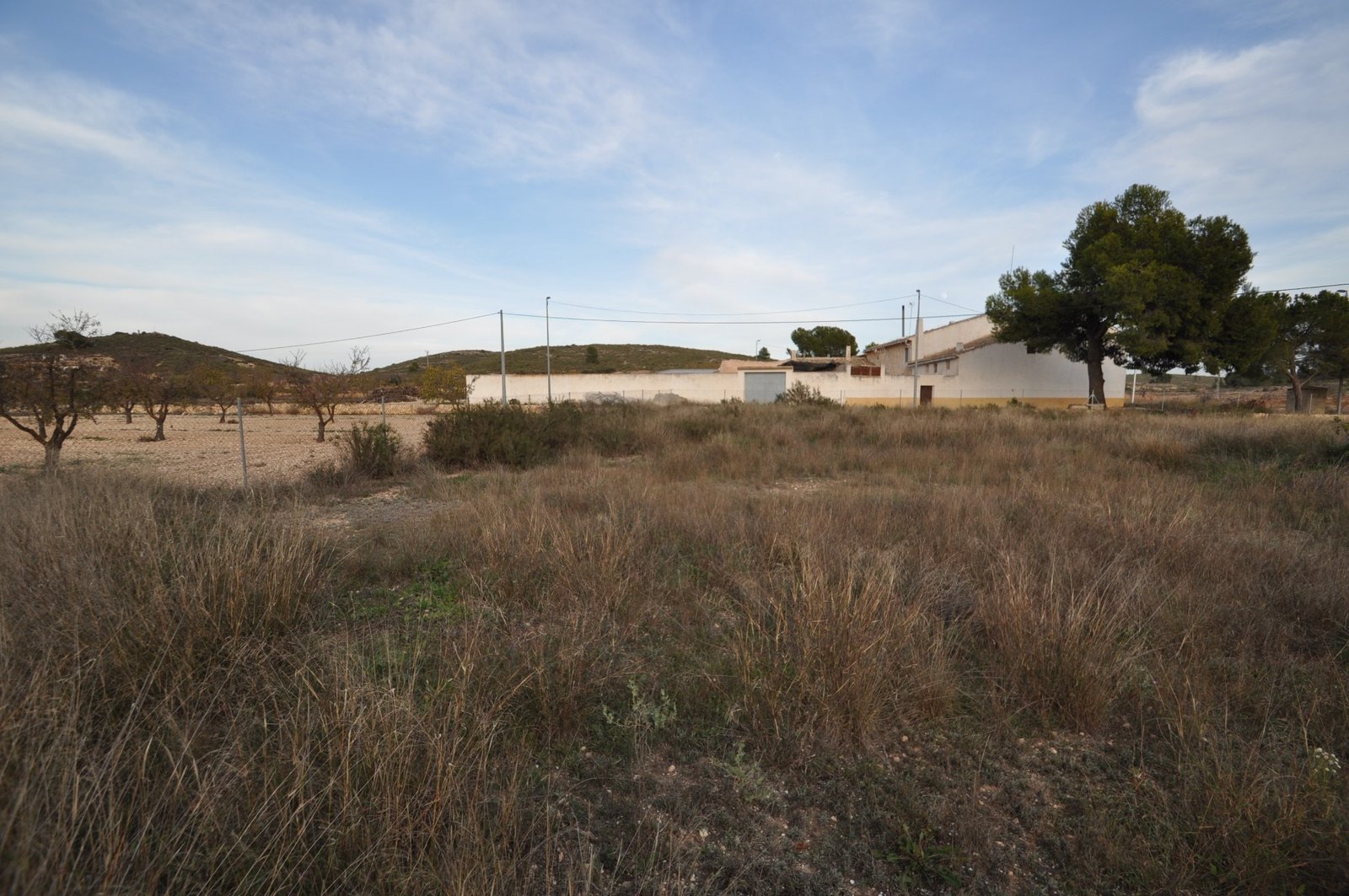 o_1h0ib1gha1ot5lgrj47ucg5l1m