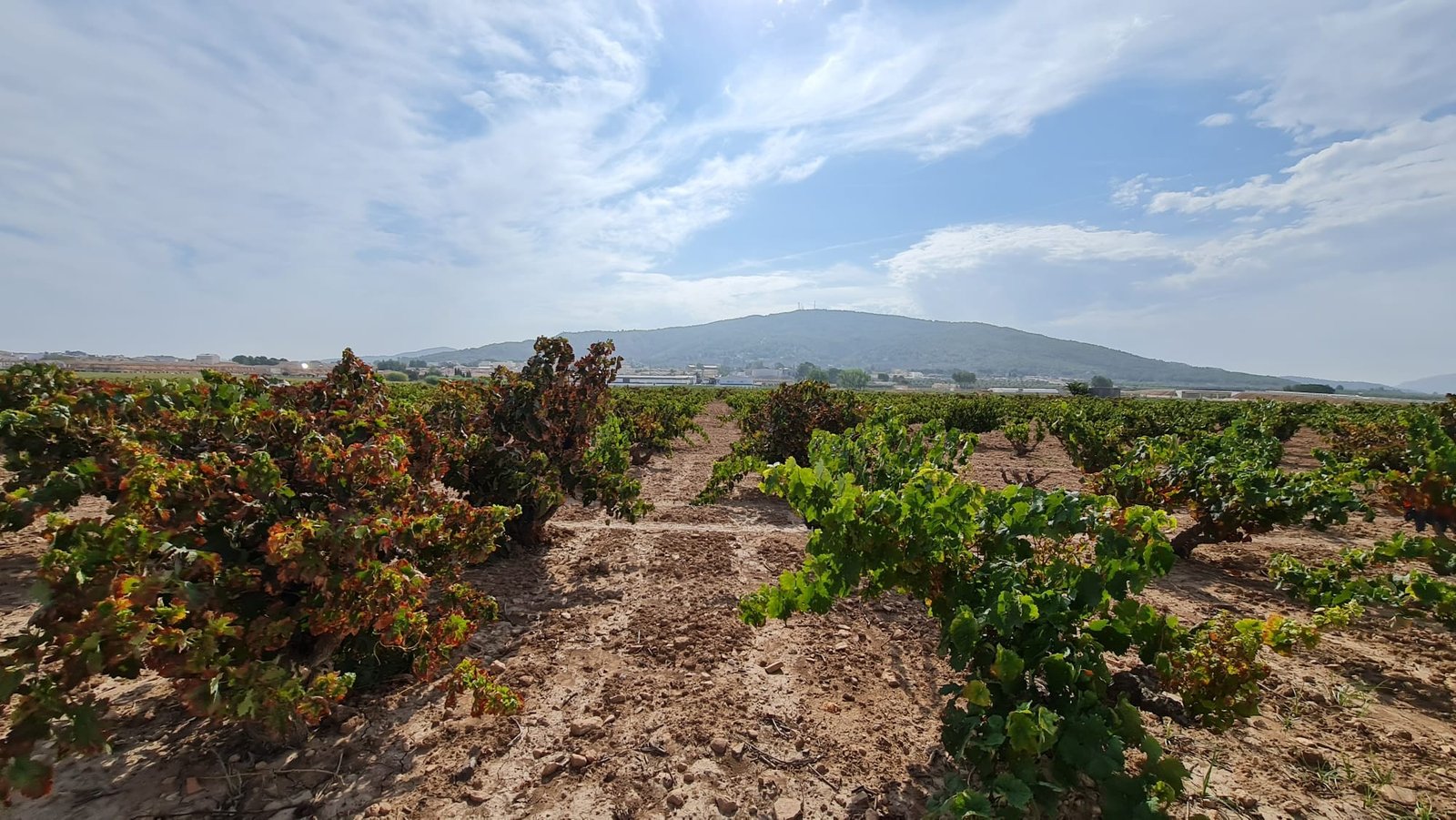 o_1i5v83f1cua8a271hhg86ukj71u