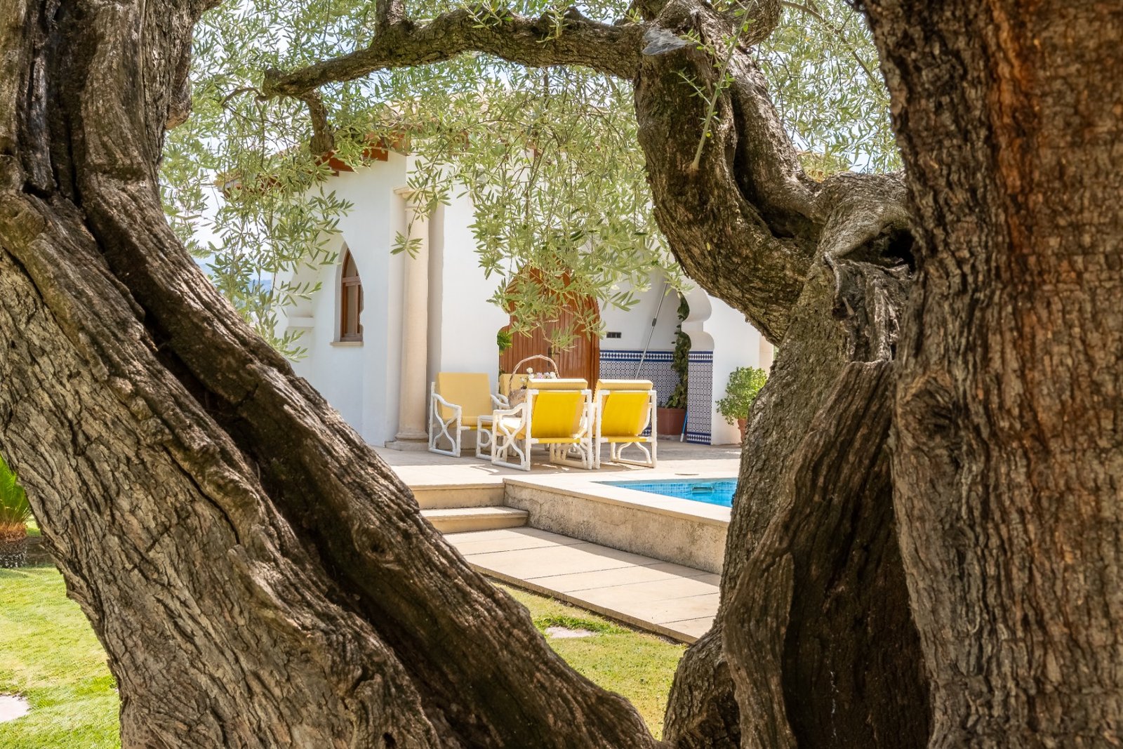 o_1i7l9pdsa10b81p491ofvmcs5i88n