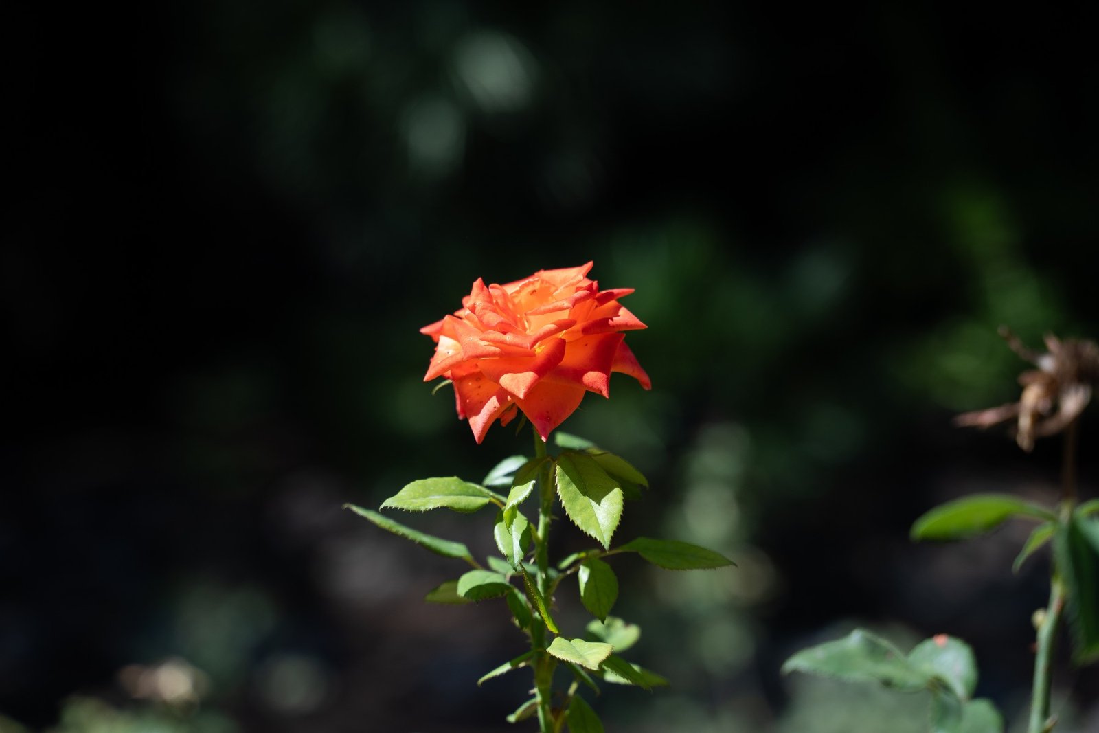 o_1i7la5o2d3nrch01ov31mch2odfj