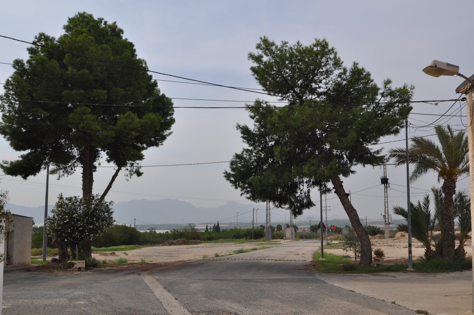 o_1idfptioe11c3p6s1ggdaobngo2t