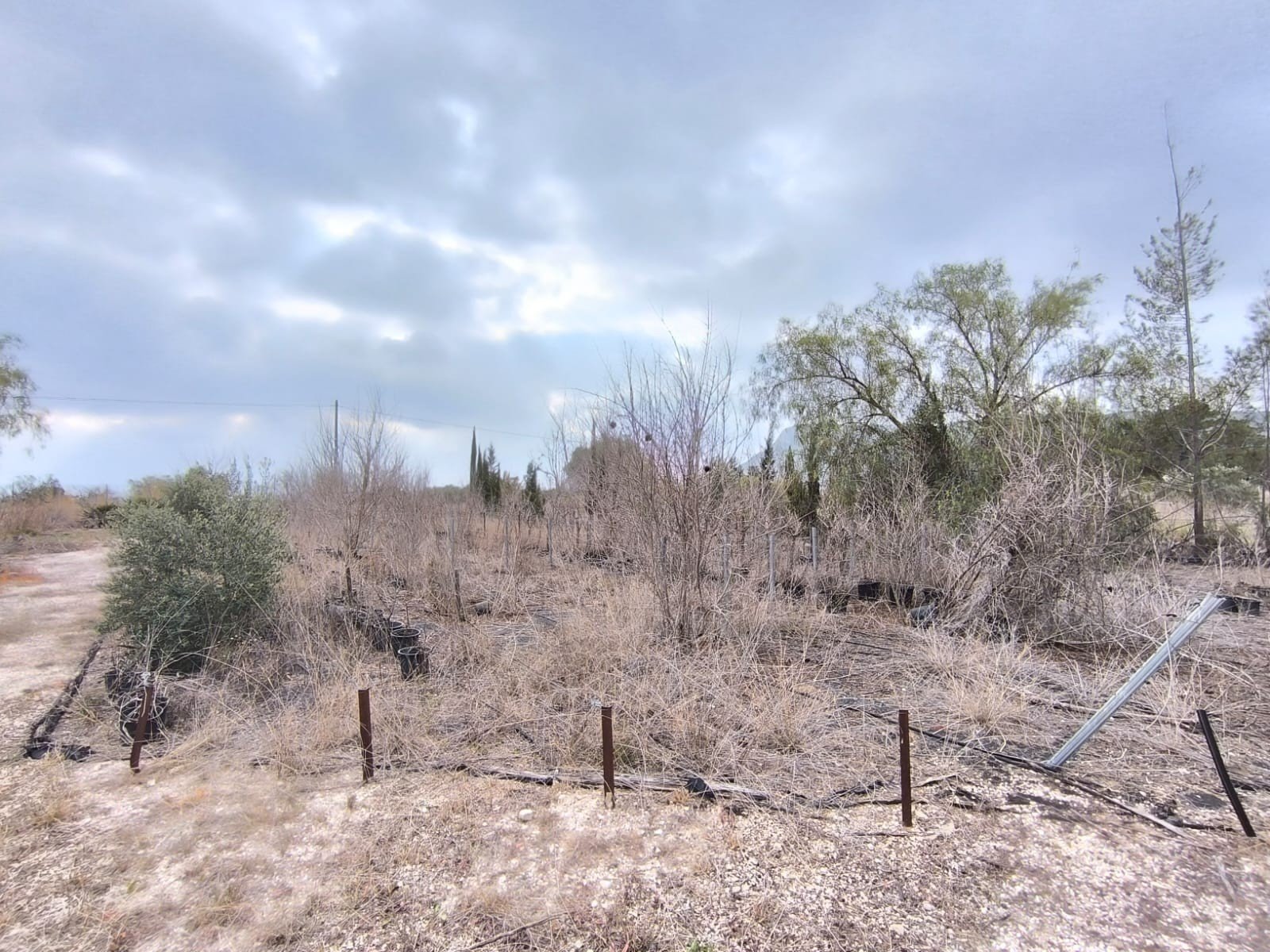 o_1ikn5bjvl1gqq1rv31ncn1r17g832a