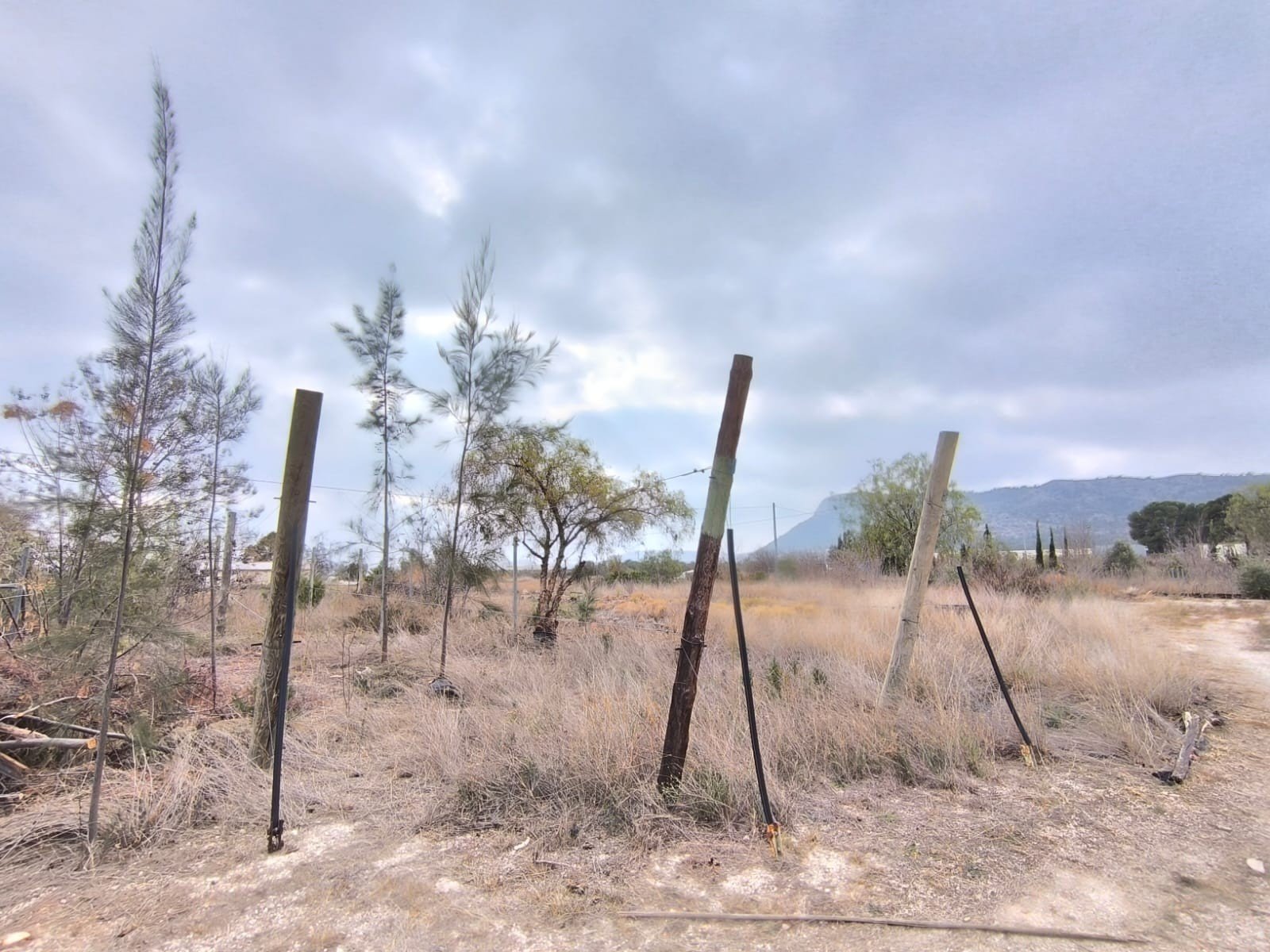 o_1ikn5bjvlai6ia4apjnvoij22c