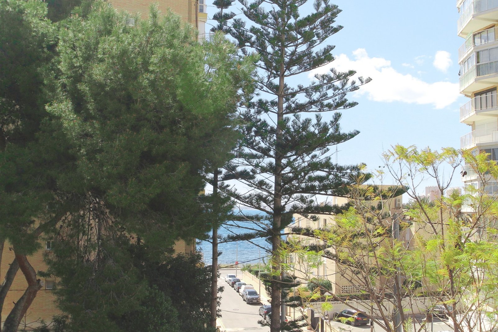 o_1inc1a8el1ovav7hvfclcq10i744