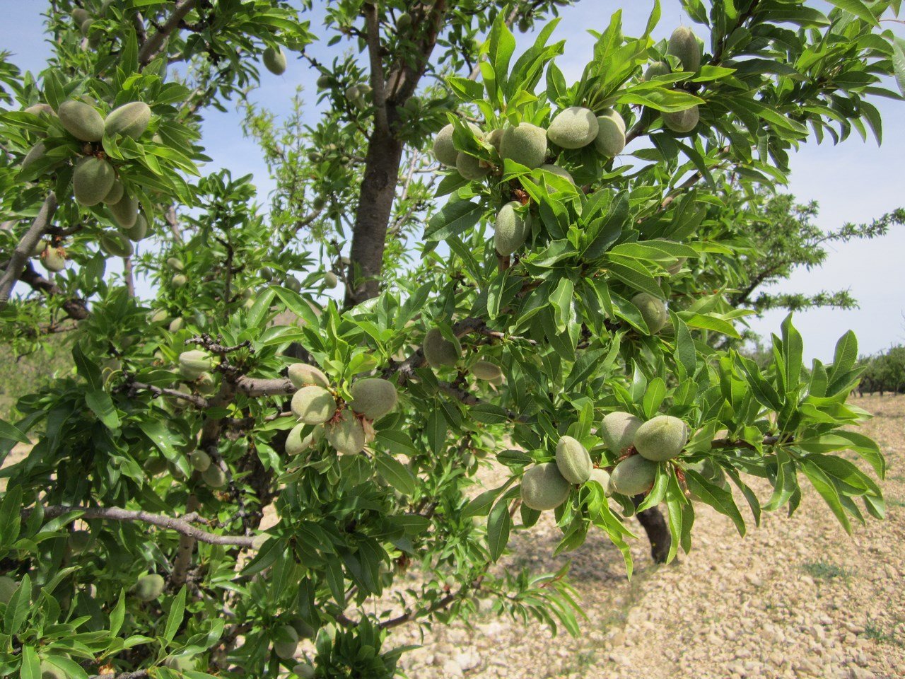 o_1ipp694sr1bev159cdmh181qim1k