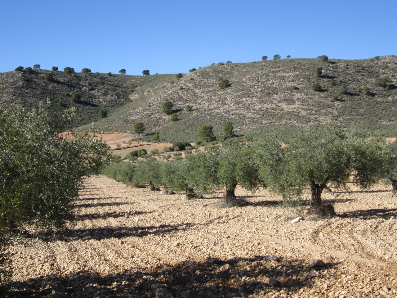 o_1ipp9lr8e1bia1t64m9t1qs0d5n1e