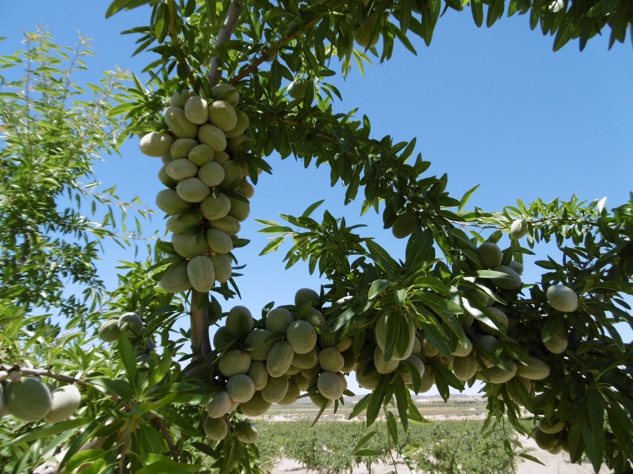 o_1itsffmdh1cfg1c1s1k2ftkgdj1s