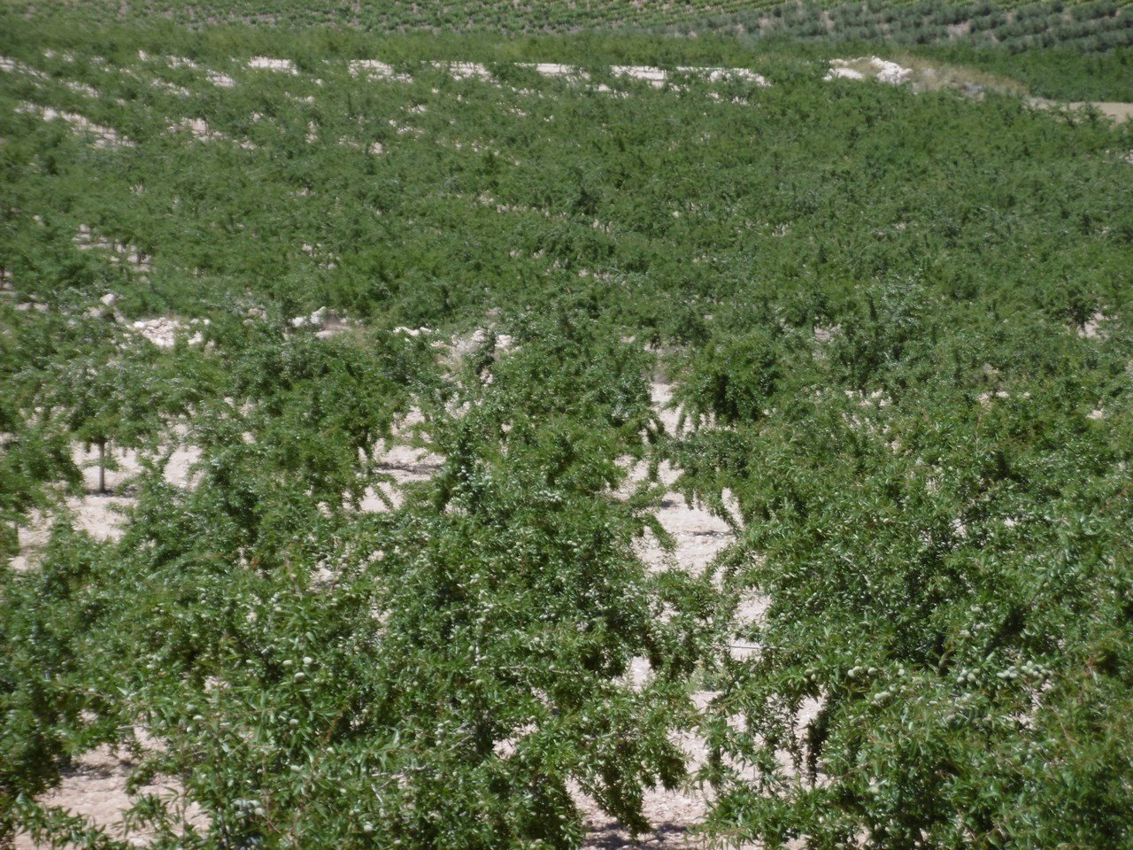 o_1itsffmdhoji1k7m4ai91u3jl1u