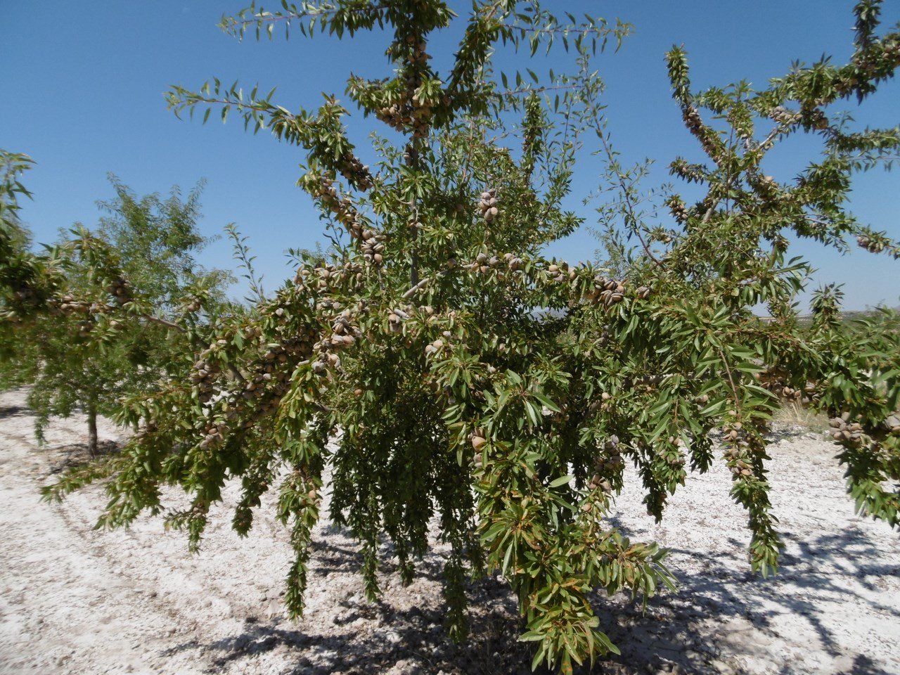 o_1itsffmdihj815bnmj216s31hid20