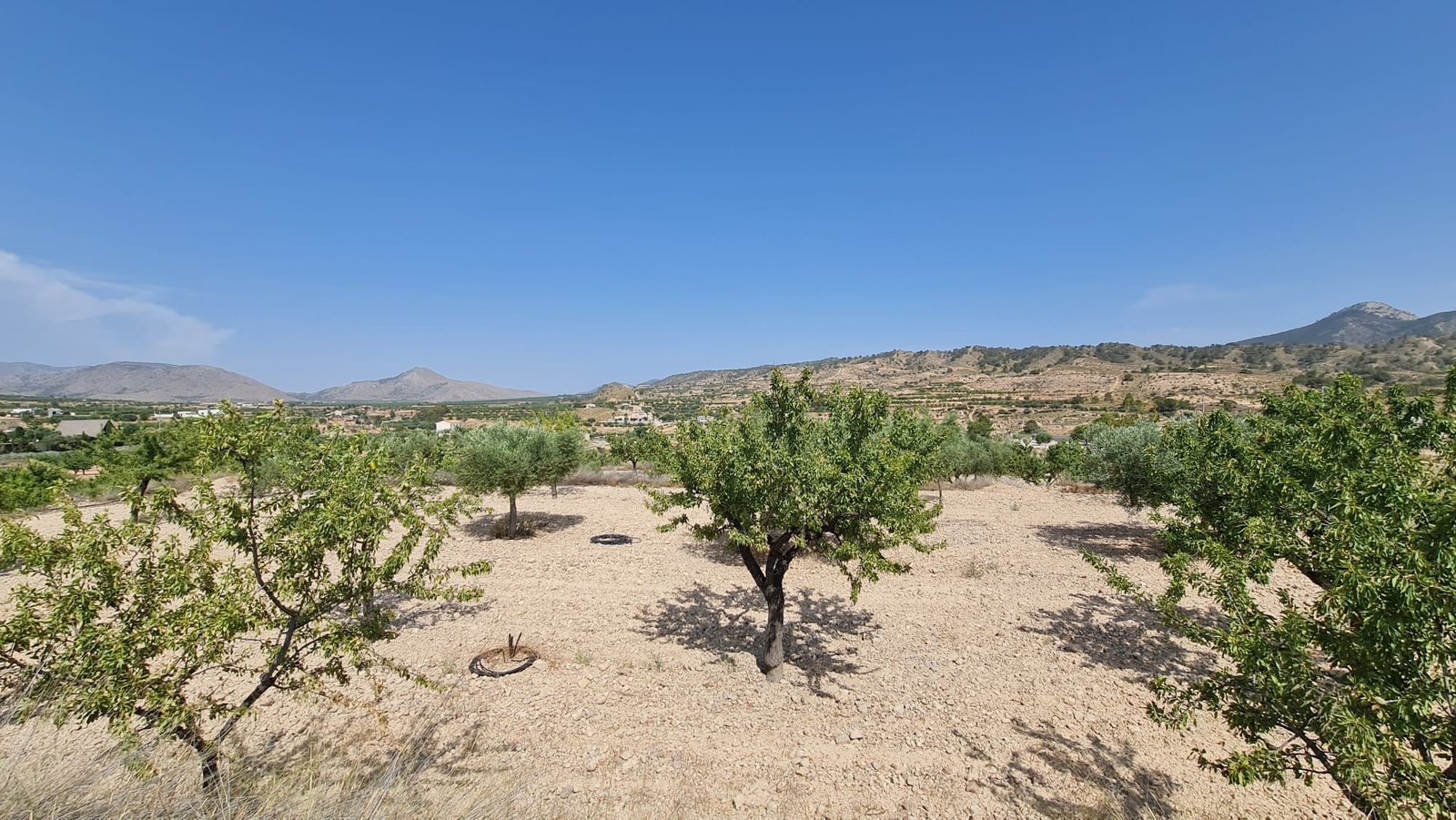 o_1iuisite3ae87qr1f4t14cn10gu1i