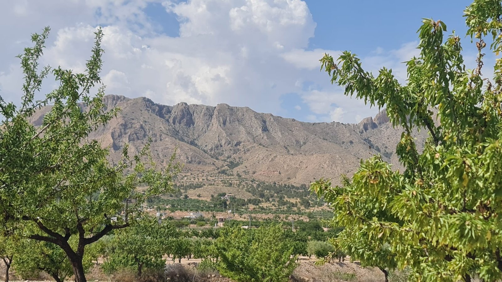 o_1iuisite3oot1blli8i17c5k321f