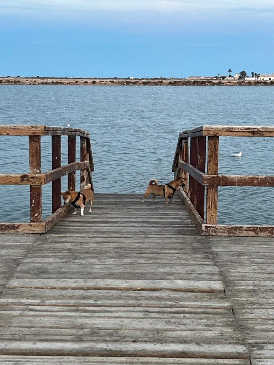 o_1ivj1j33e1ll5cnu86719d21p6i1u