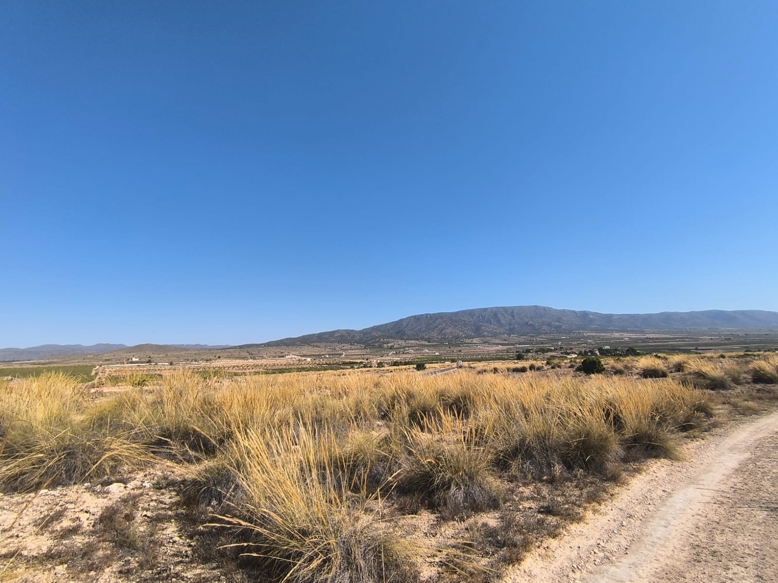 o_1j0bhccmb184fj8aqc48gv7a1o