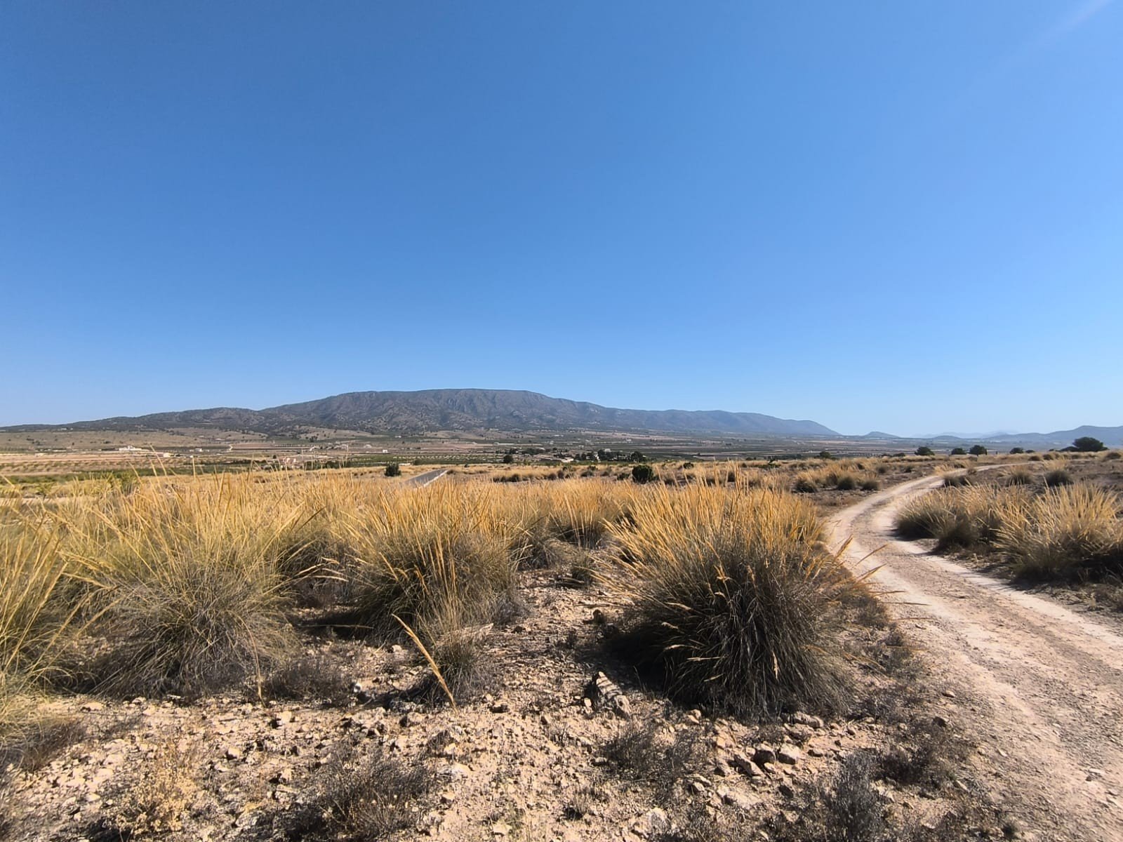 o_1j0bhccmb1v0f1idc1qeu1f9jour1p