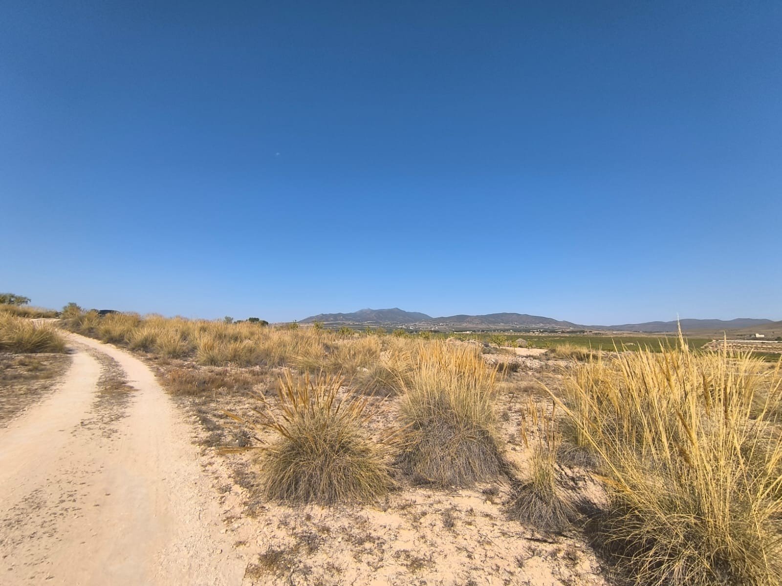 o_1j0bhccmbquo1al6aribef9kc1k