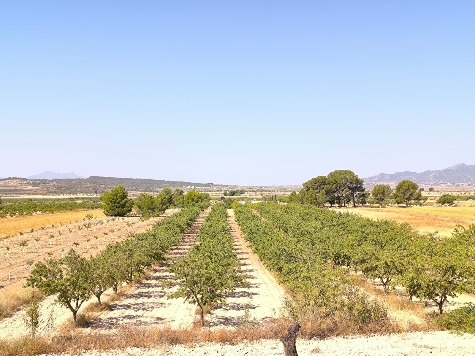 o_1j1g132aj1rkj1t5h67noppo41e