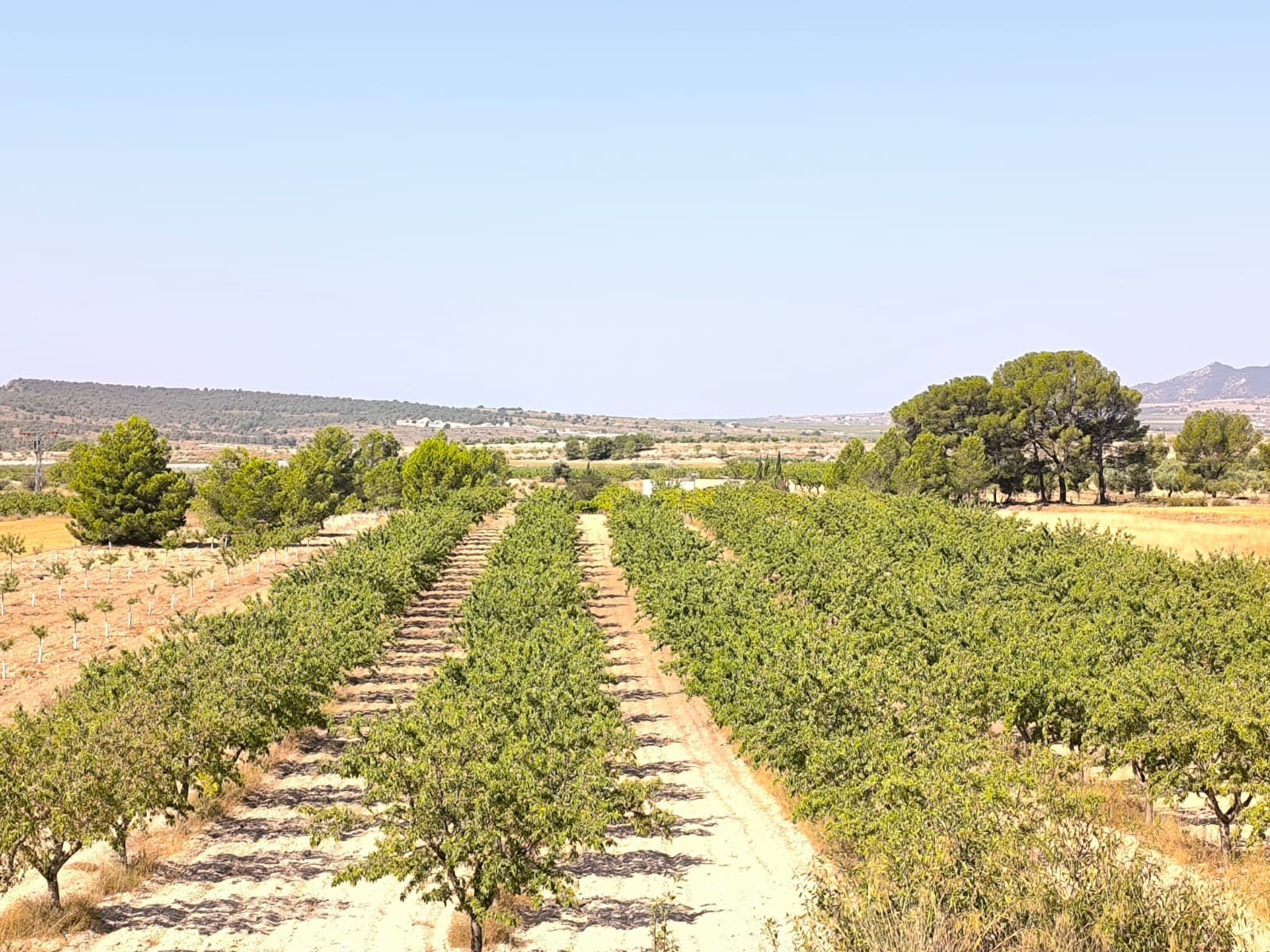 o_1j1g132ajo5uku7dan1821c411f