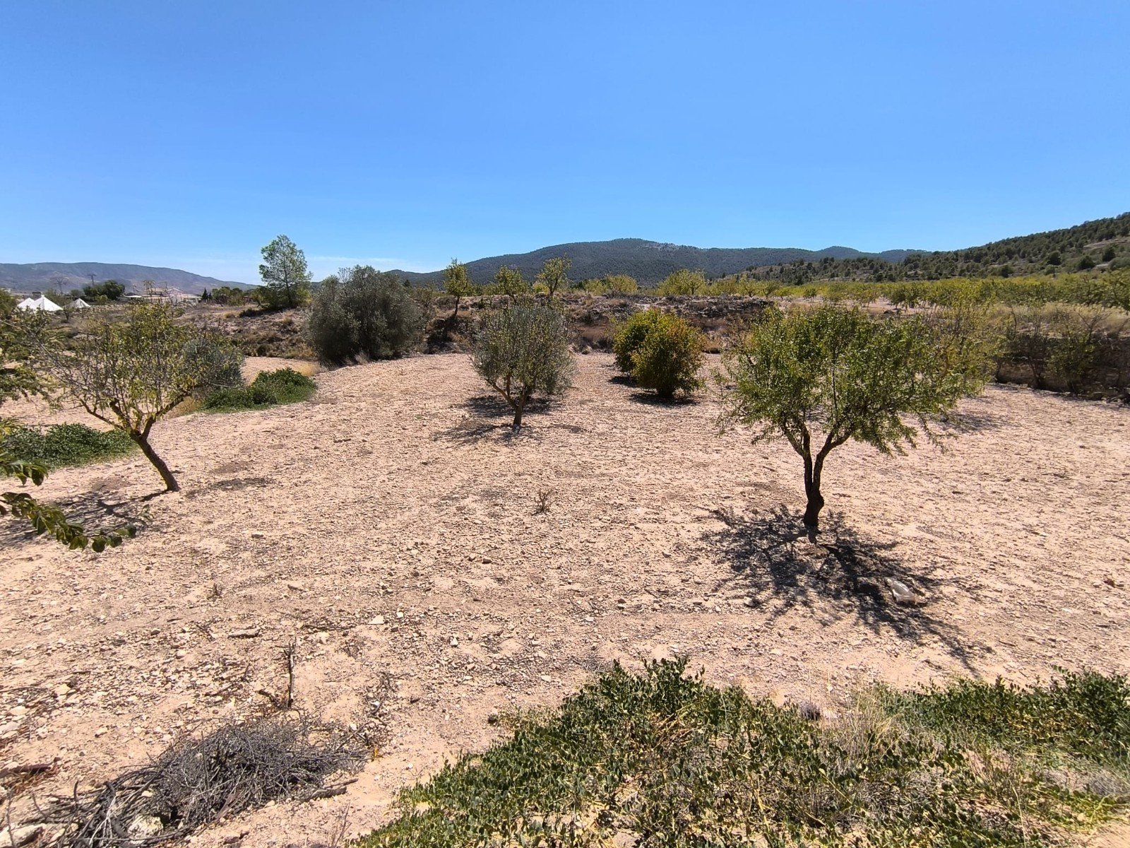 o_1j45msoh013e599k1lb8jo810nq1r