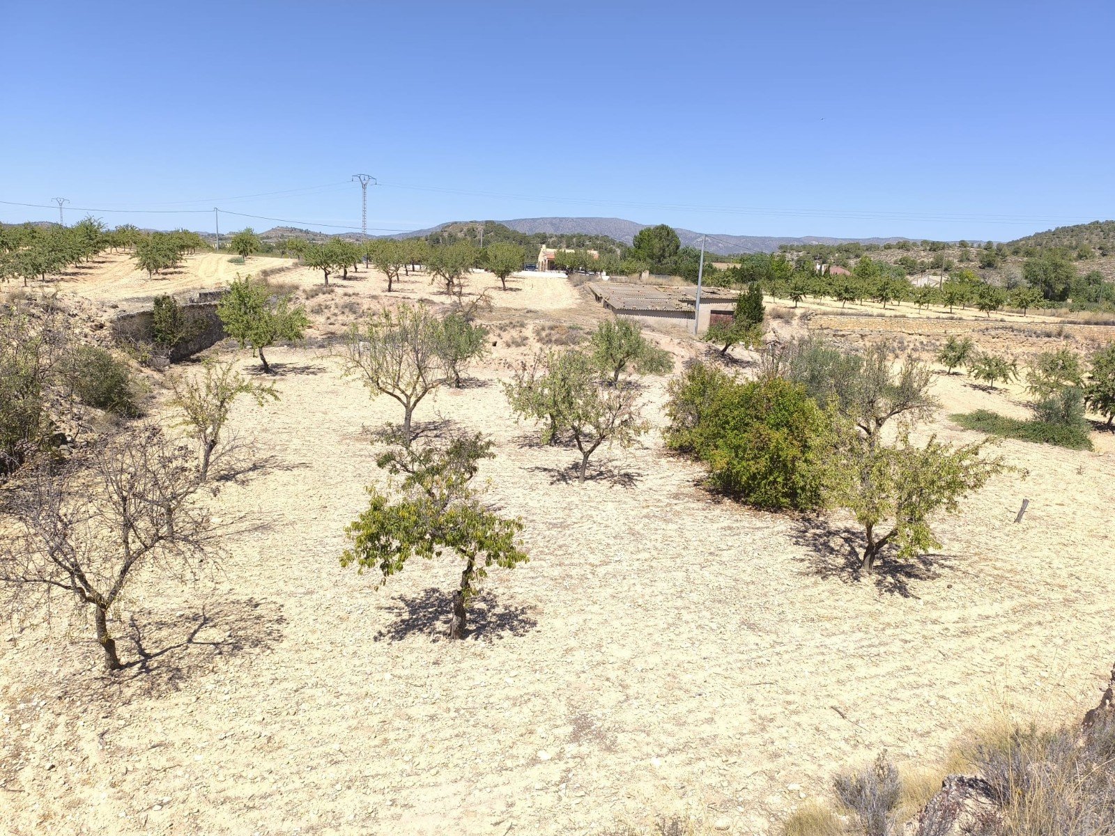 o_1j45msoh0bs11f0l1n8h14021ktu1q