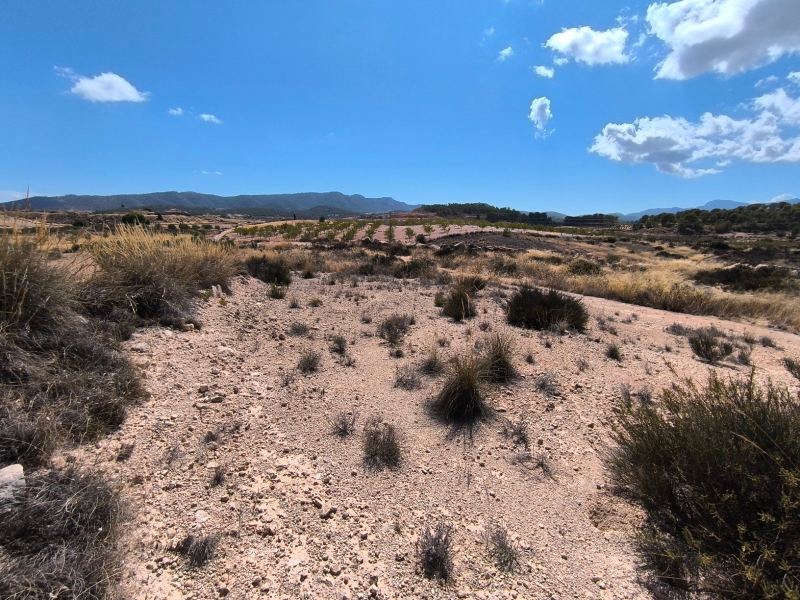 o_1j62vstnh7l1174gasf1s9h1vuv1i